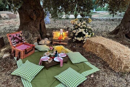 Picnic among the olive groves tasting in the countryside of Conversano