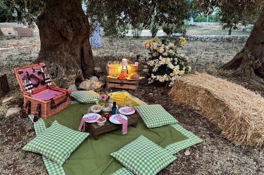 Picnic among the olive groves tasting in the countryside of Conversano