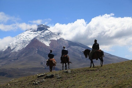 Quito to the Jungle: 6-Day Ecuador Andes & Amazon Discovery