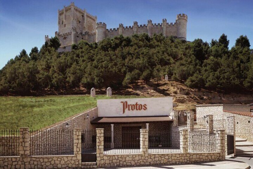 3Days Exclusive Wineries in Chinchon and Segovia and Peñafiel 