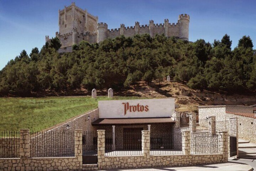 3Days Exclusive Wineries in Chinchon and Segovia and Peñafiel