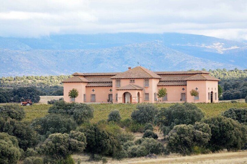 3Days Exclusive Wineries in Chinchon and Segovia and Peñafiel 