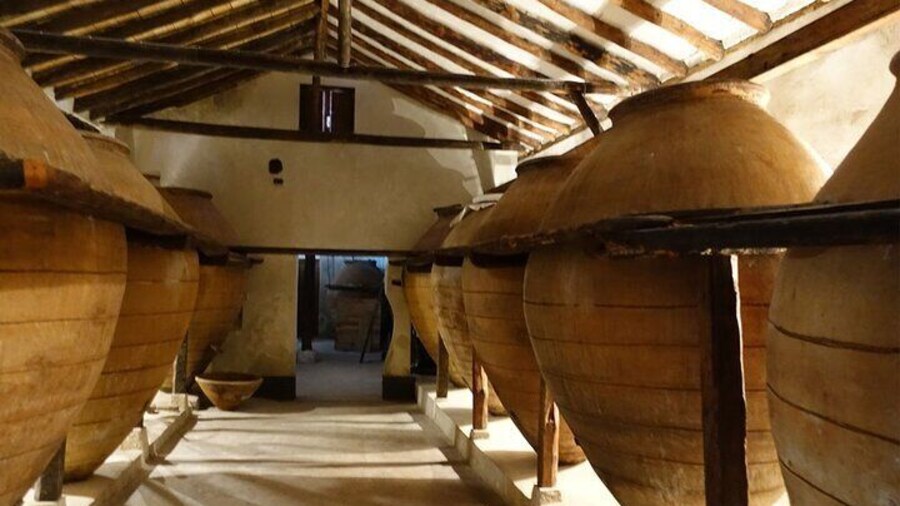 3Days Exclusive Wineries in Chinchon and Segovia and Peñafiel