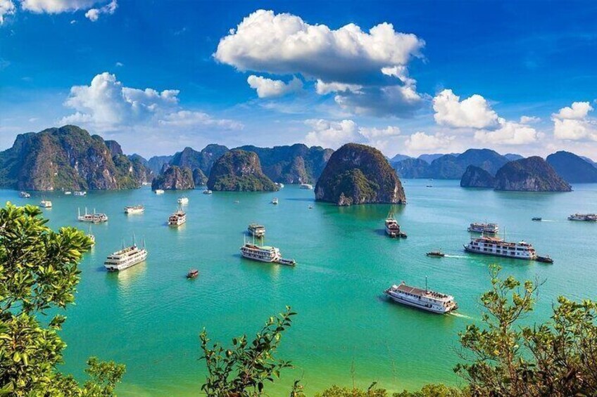 Charming Cruise and Sunrise Magic Full Day Discover Lan Ha Bay