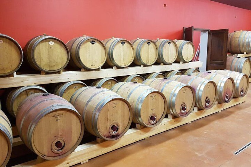 Enjoy a meal with wine tasting in the vineyard of Podere Casanova