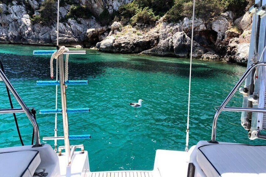 Sailboat excursion Alghero with Lunch included