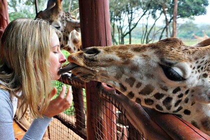 Nairobis flygplats Layover Tour Giraffe Center