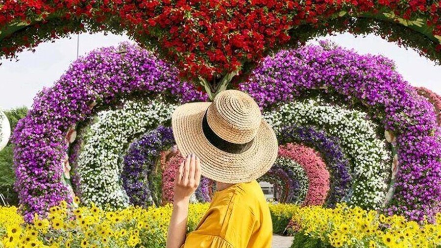 Dubai Miracle Garden Entry Ticket with Hotel Transfer