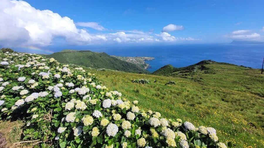Complete Tour of Flores Island in the Azores
