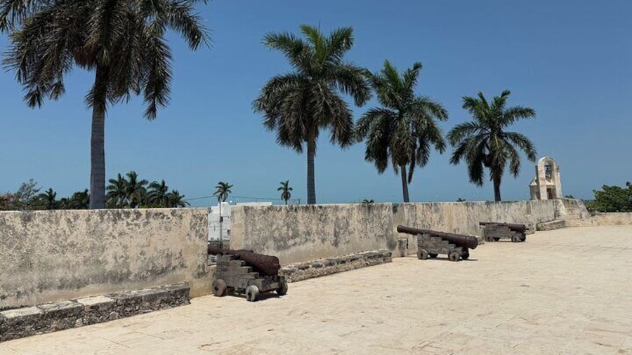 Private City Tour Campeche