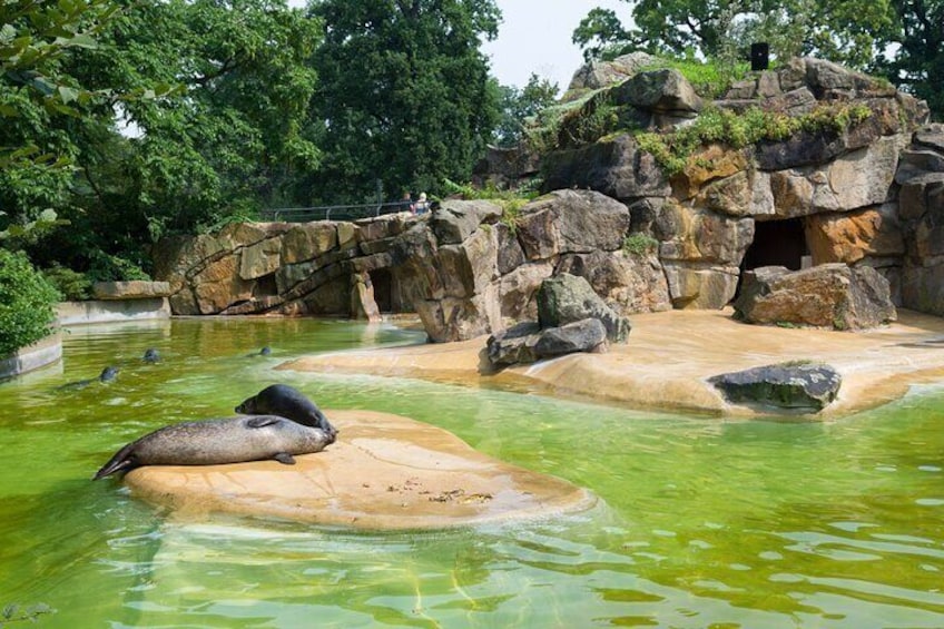 Private Transport to Berlin Zoo 