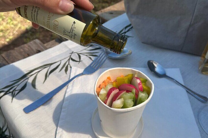 Picnic among the Olive Trees and Tasting of Oil and Local Flavors