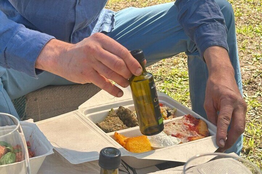Picnic among the Olive Trees and Tasting of Oil and Local Flavors