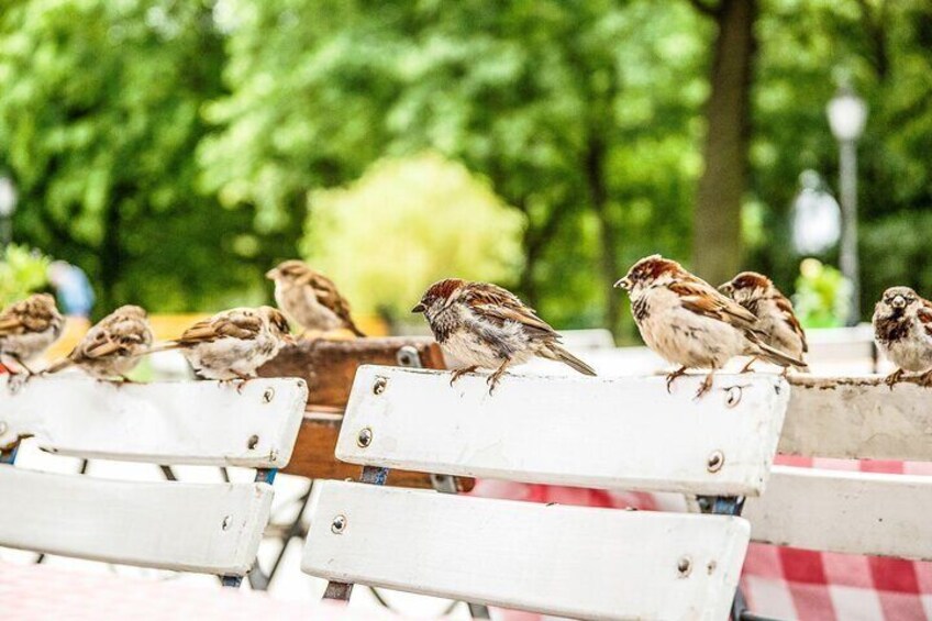 Berlin Tierpark Skip The Line Tickets and Private Transport