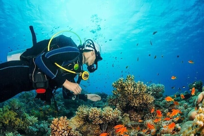 Hidden Full-Day Island Life Tour in Phu Quoc