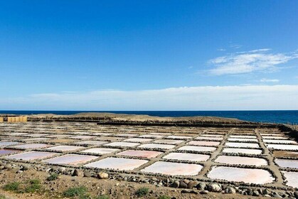 Gran Canaria Food Tour with Distillery Visit and Local Lunch