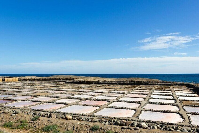 Gran Canaria Food Tour with Distillery Visit and Local Lunch