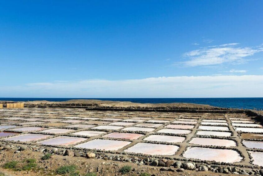 Gran Canaria Food Tour with Distillery Visit and Local Lunch