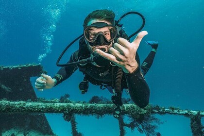 Coral Garden Amazing Sea Trip & 2 dyk Med Transfer: Marsa Alam