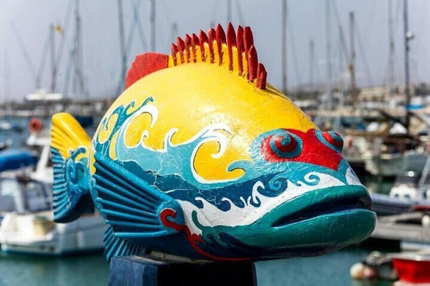 Corralejo Express Bus Service - From Caleta