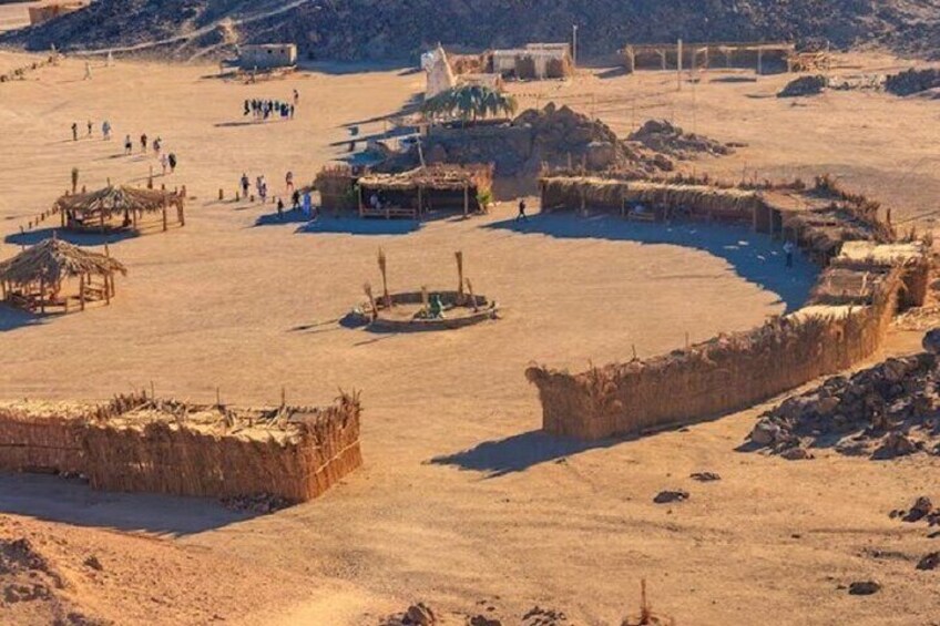 Family Buggy Car Safari & Camel Ride With Transfer - Marsa Alam