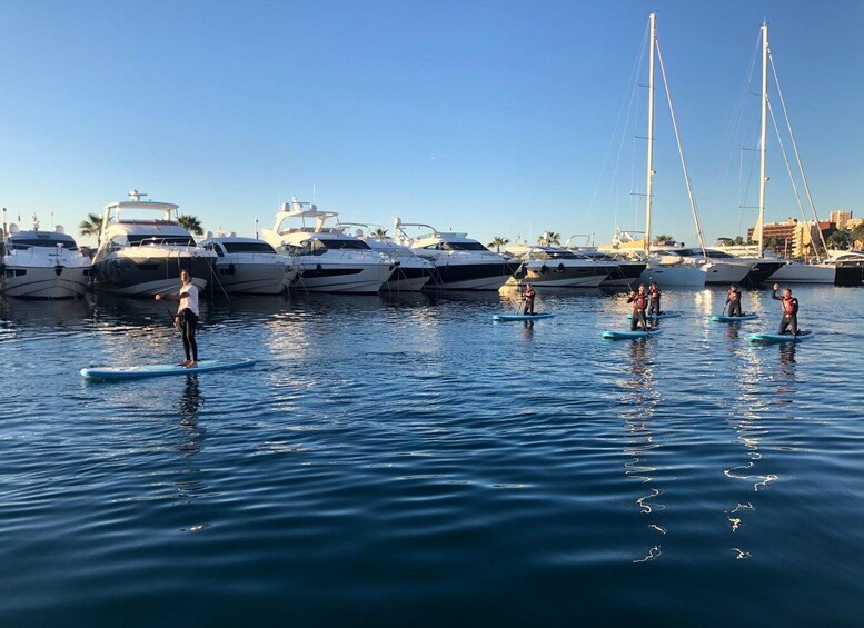 Picture 3 for Activity Paddle surf excursion
