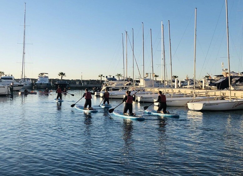 Picture 1 for Activity Paddle surf excursion