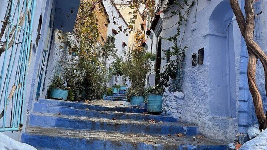 Chefchaouen Tour by Car and Minivan
