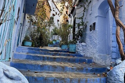 Chefchaouen Tour by Car and Minivan