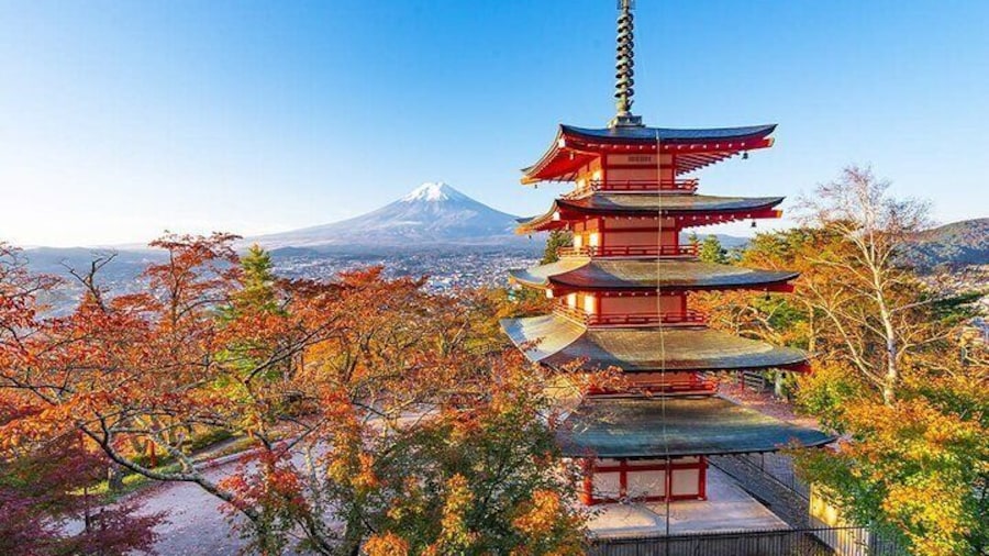 One-day tour to Mount Fuji's popular attractions