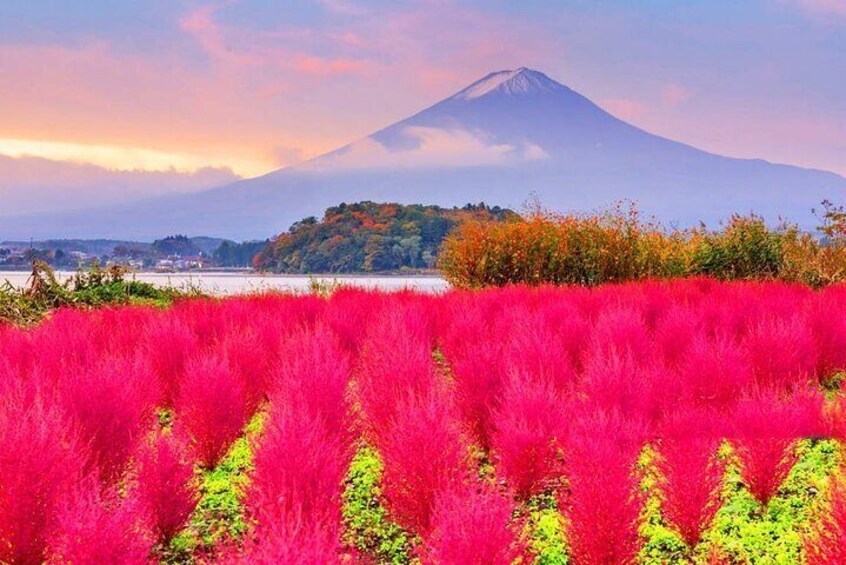 One-day tour to Mount Fuji's popular attractions