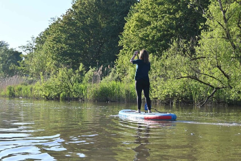 Picture 1 for Activity Biesbosch: SUP Board Rental