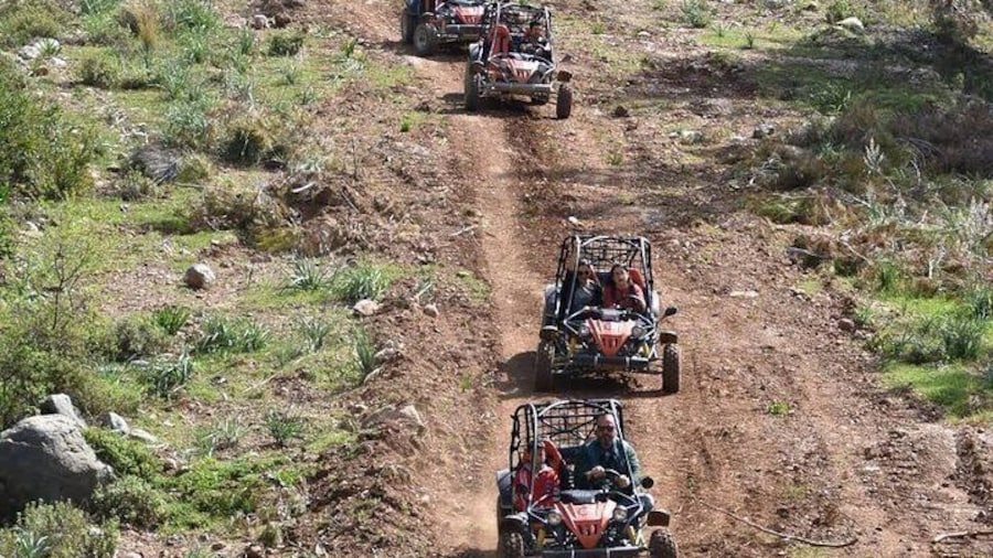 Buggy Safari