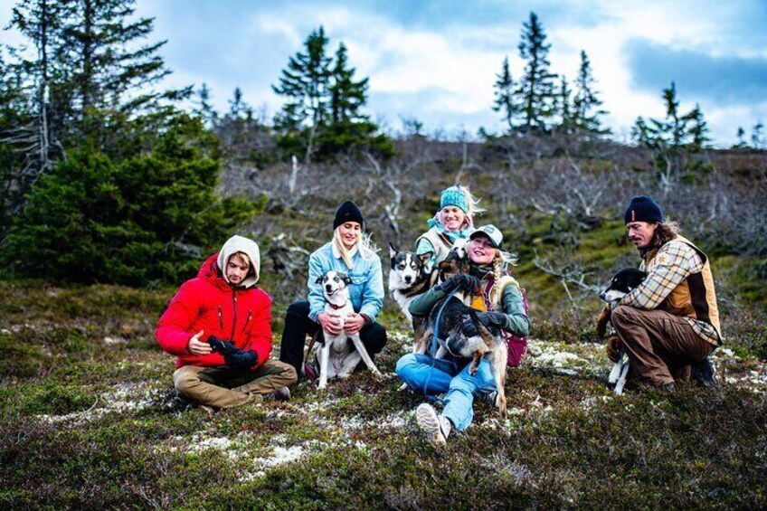 Mountain walk with husky companion