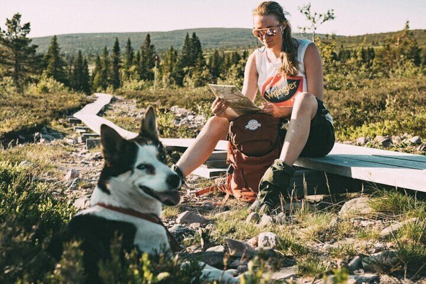 Mountain walk with husky companion