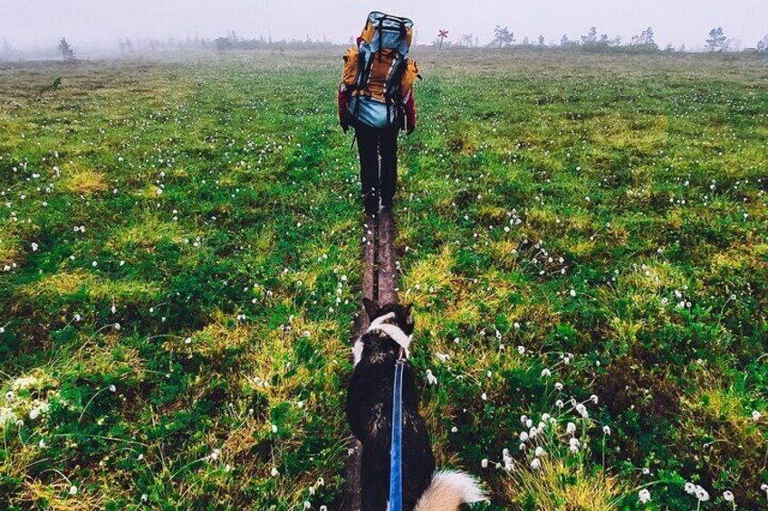 Mountain walk with husky companion