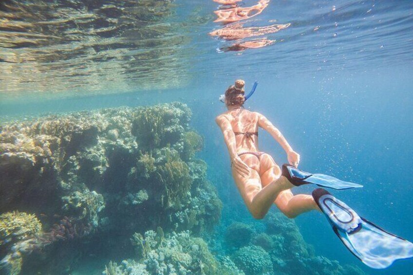 Private Speedboat 4 Hours For Snorkeling W/Transfer - Marsa Alam