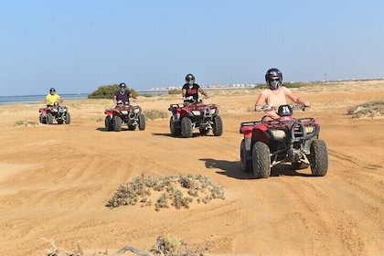 Moto Marine quad bike Desert Safari, Snorkelling & Camel Ride–Marsa Alam