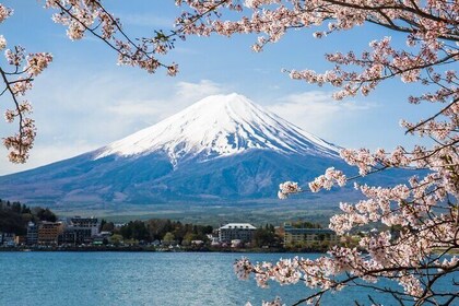 Private tour to Mount Fuji and Hakone from Tokyo