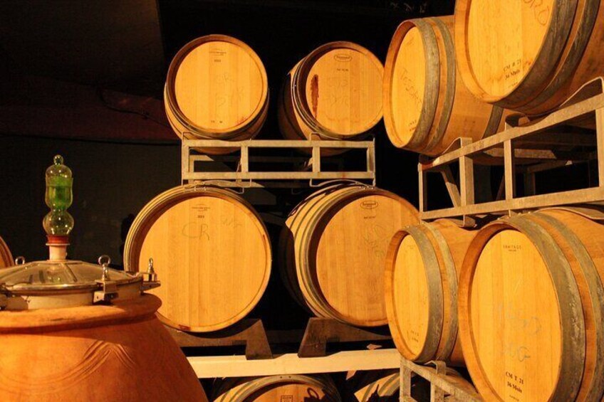 From Florence The Immersive Tuscan Winery Experience