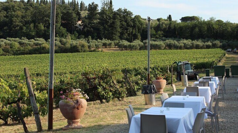 From Florence The Immersive Tuscan Winery Experience
