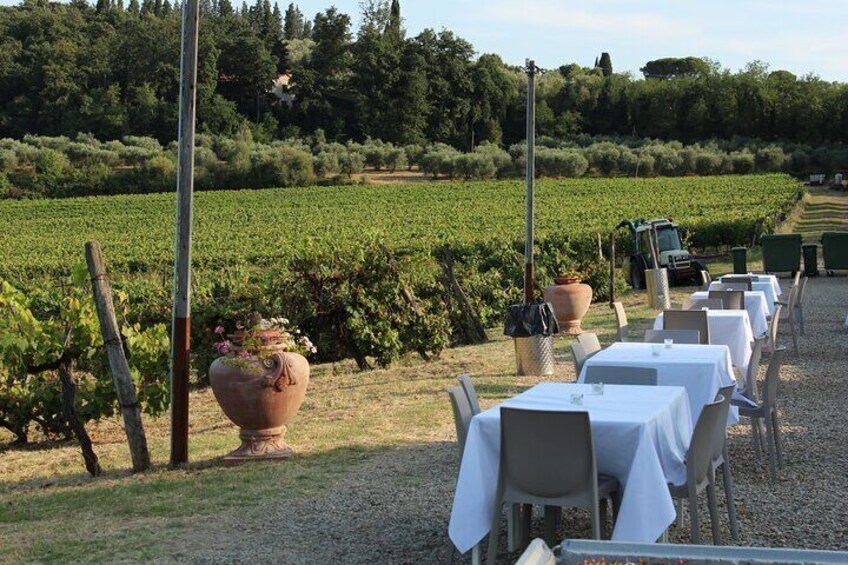 From Florence The Immersive Tuscan Winery Experience