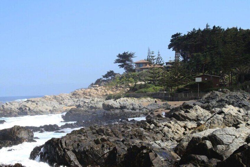 Black Island Tour, Neruda Museum and Tricao Park with Lunch