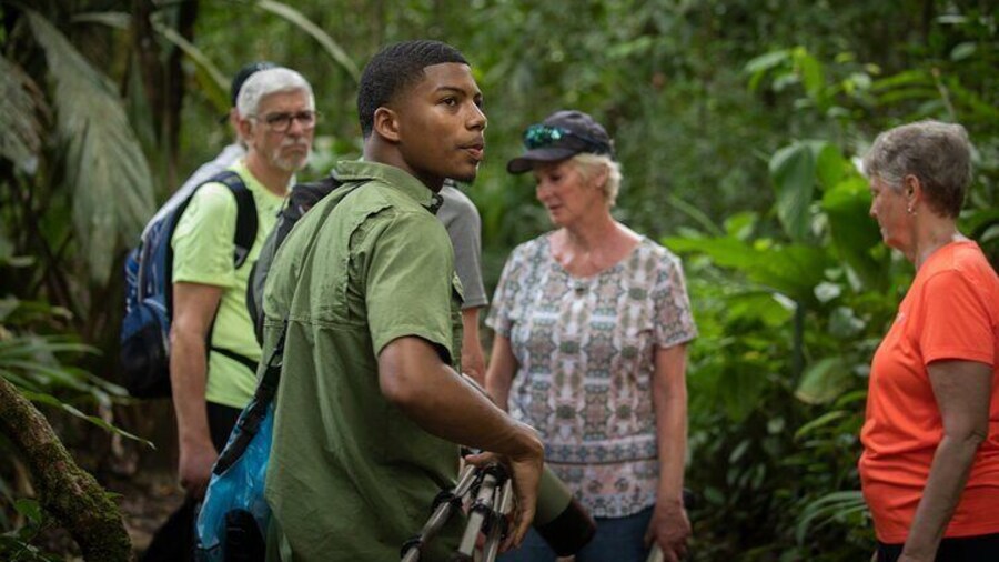 Tour Full 1-Day Experience in Tortuguero