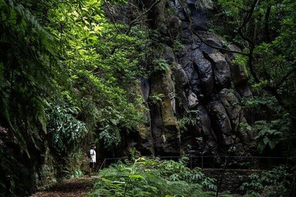 Caminata autoguiada Levada do Caldeirão Verde en Madeira