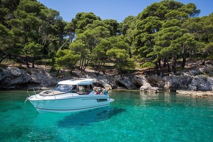 New Merry Fisher 795 - Private Customized Boat Tour
