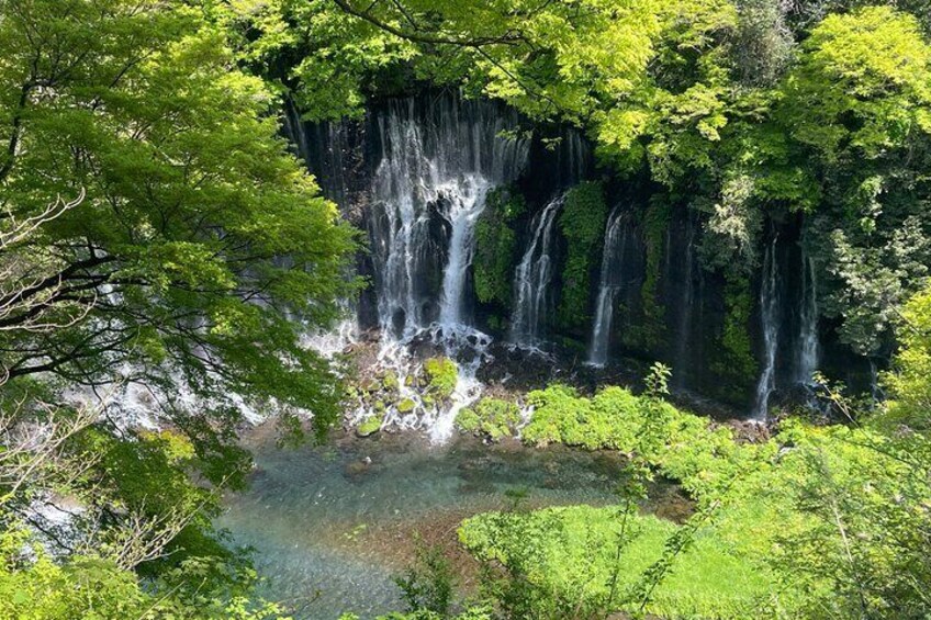 Hakone Private Car Sightseeing Tour