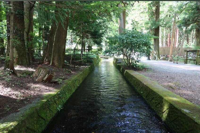 Hakone Private Car Sightseeing Tour
