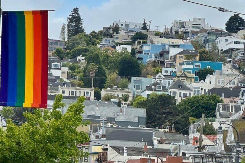 3hr Private SF City Tour In Electric VW Van