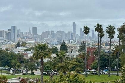 3hr Private SF City Tour In Electric VW Van